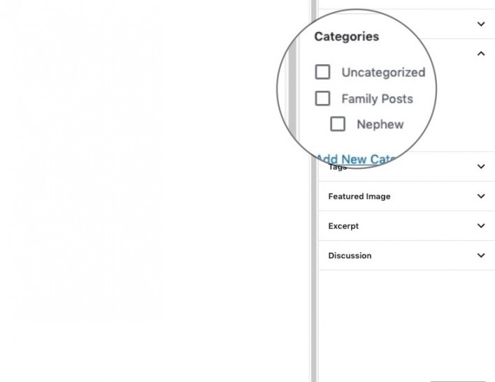 Screenshot showing how to assign a WordPress category or subcategory from the post editor in WordPress