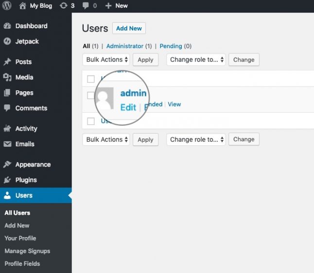 Screenshot showing the WordPress user configuration page