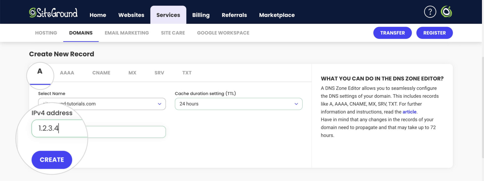 A record settings in the SiteGround's DNS Zone Editor