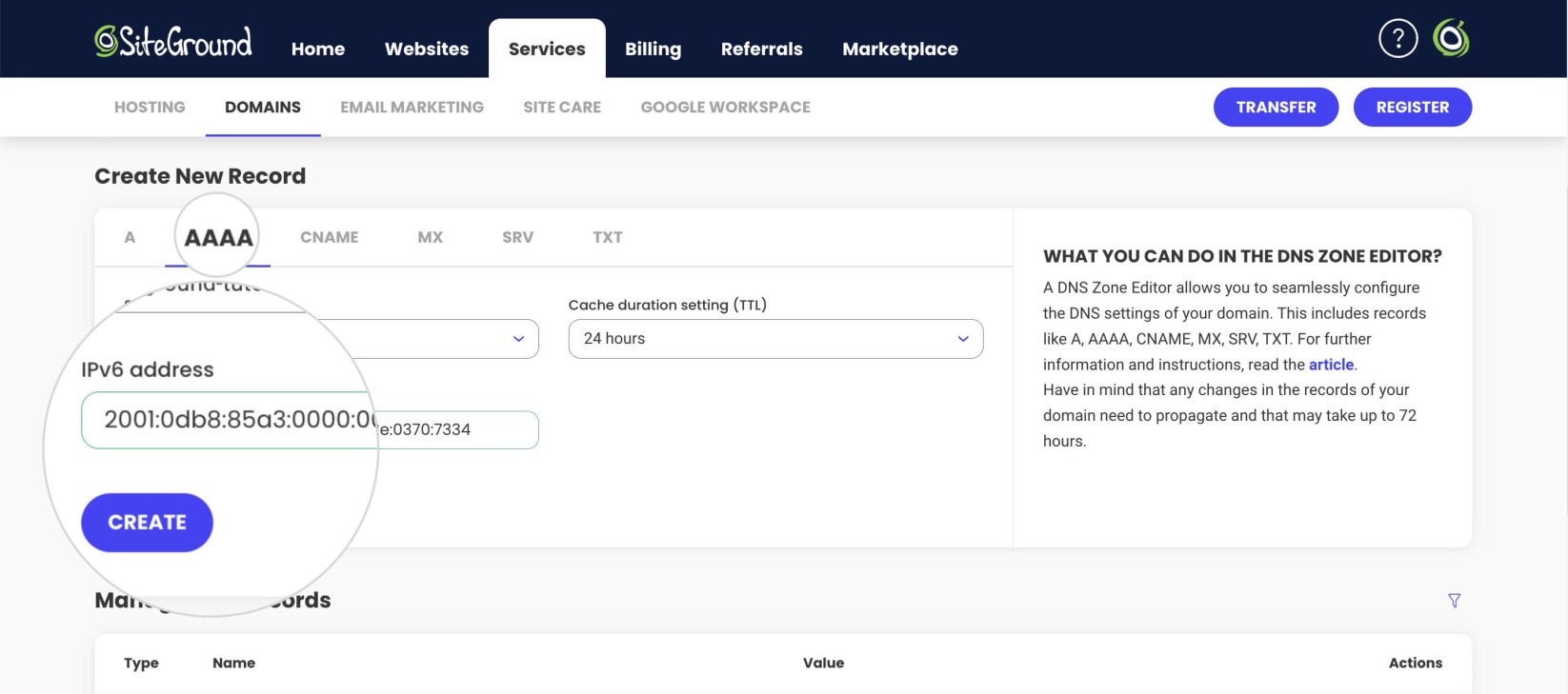 AAAA record settings in SiteGround's DNS Zone Editor