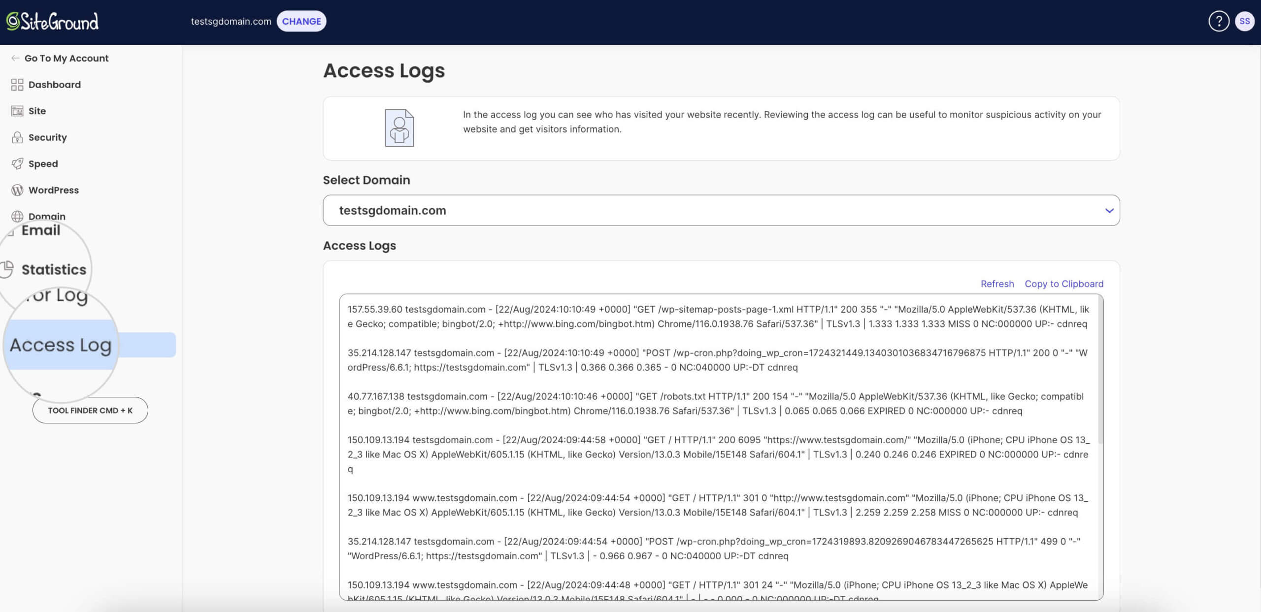 A screenshot of the Access logs area in Site Tools