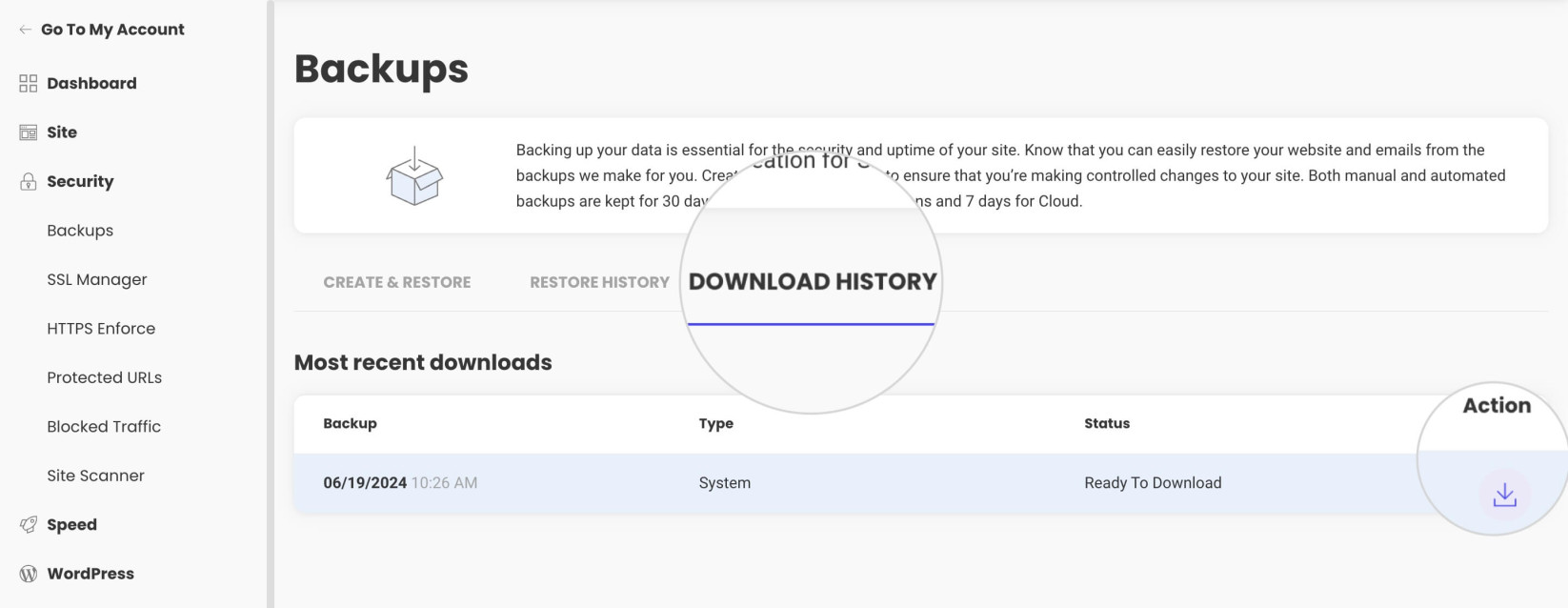 Download link for a backup in Site Tools