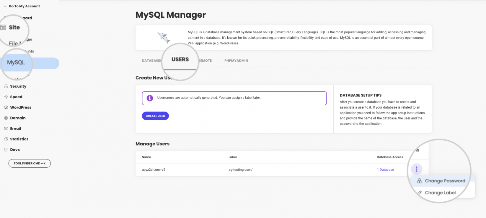 Change database user password