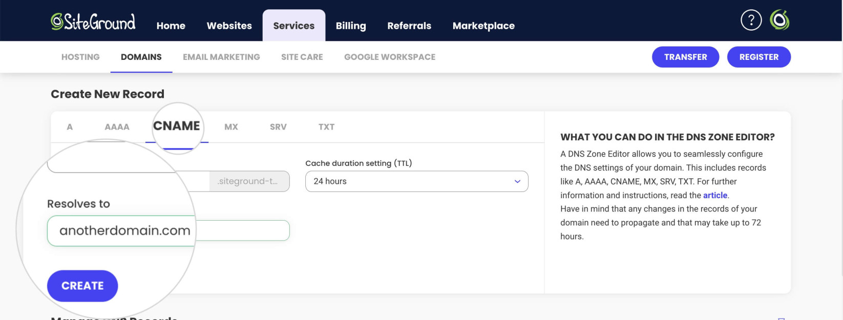 CNAME record settings in SiteGround's DNS Zone Editor