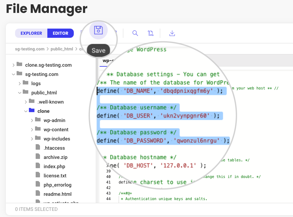 Configure the clone's wp-config.php file