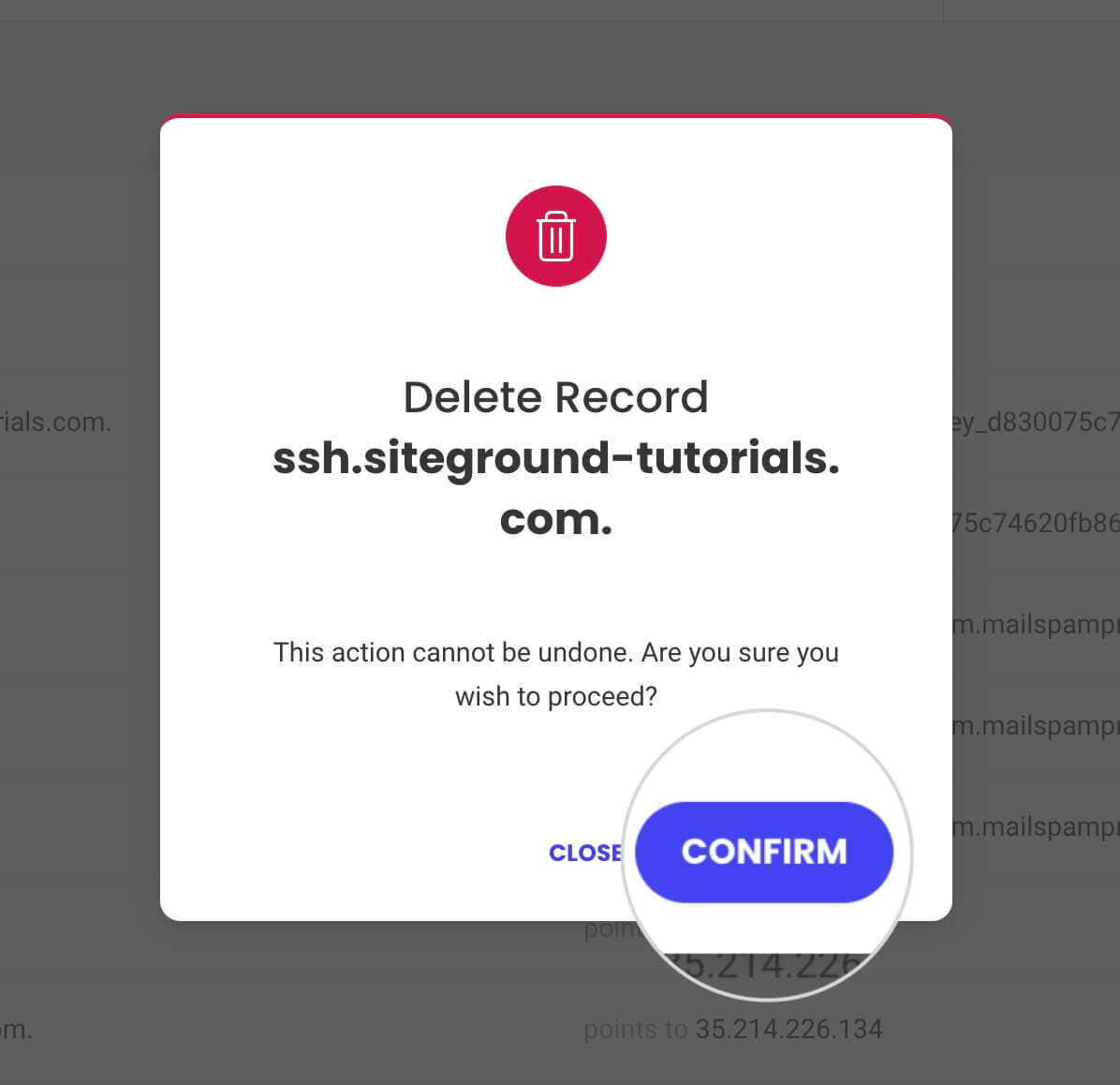 How to confirm deleting a DNS record in SiteGround's DNS Zone Editor