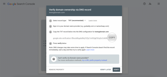 Verification via DNS record - Copy the TXT record to verify your domain