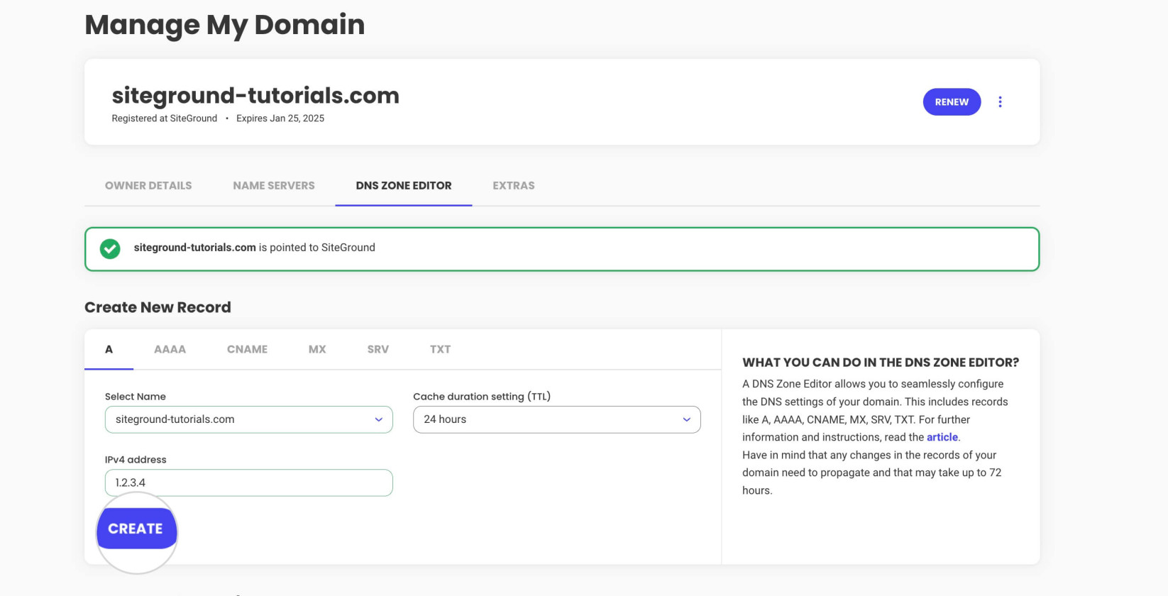 Creating a DNS record in SiteGround's DNS Zone Editor