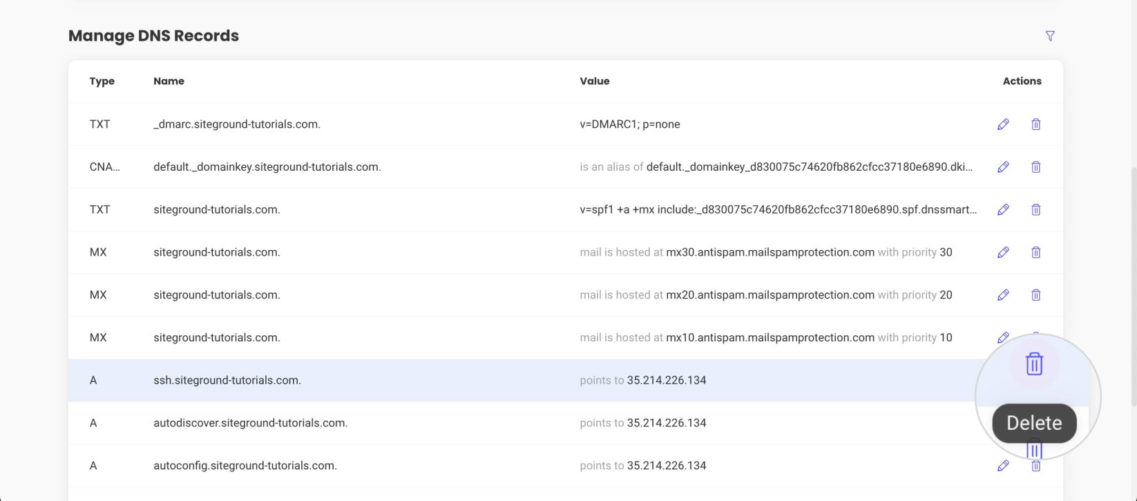 Deleting an existing DNS record in SiteGround's DNS Zone Editor