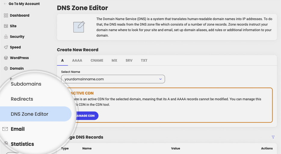 DNS Zone Editor in Site Tools