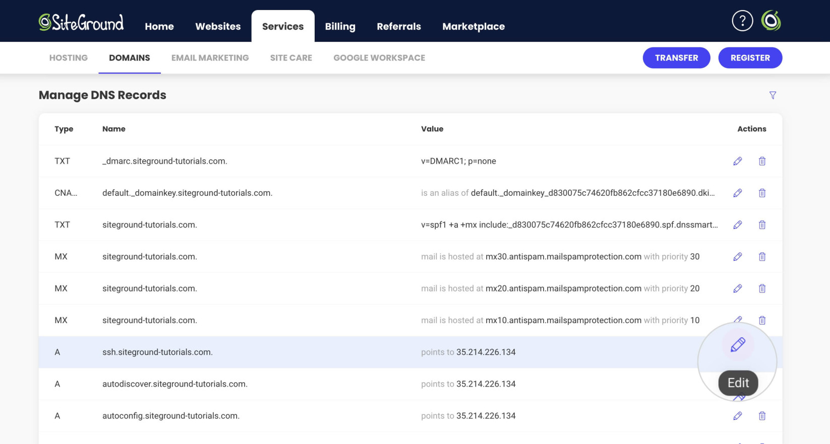 Editing an existing DNS record in SiteGround's DNS Zone Editor