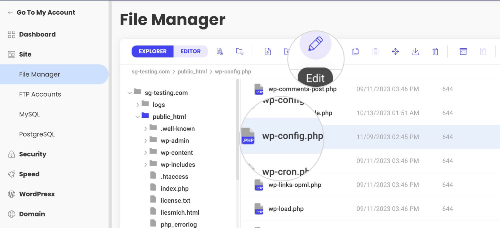 How to edit the wp config.php file with a File Manager