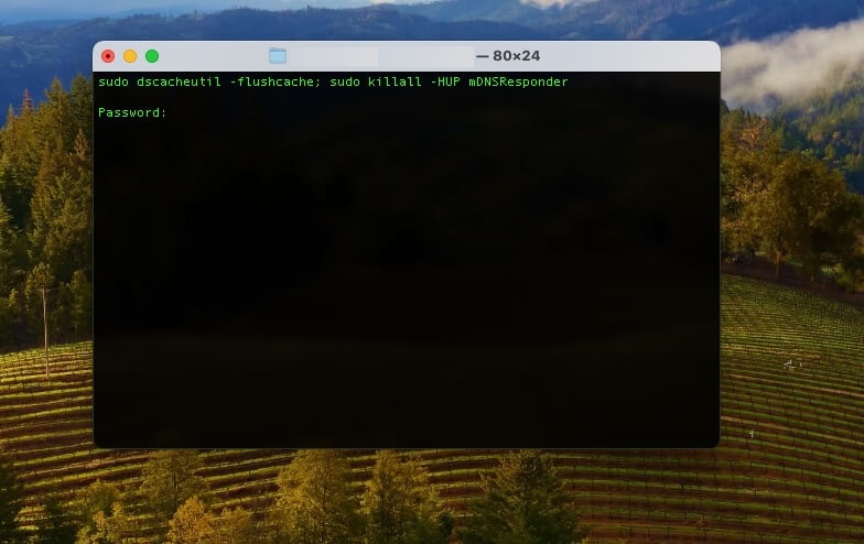 Flushing DNS cache on Mac through Terminal