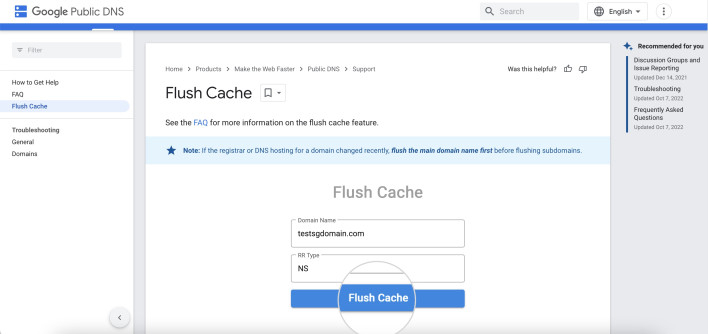 Screenshot on how to flush cache through Google's Public DNS console