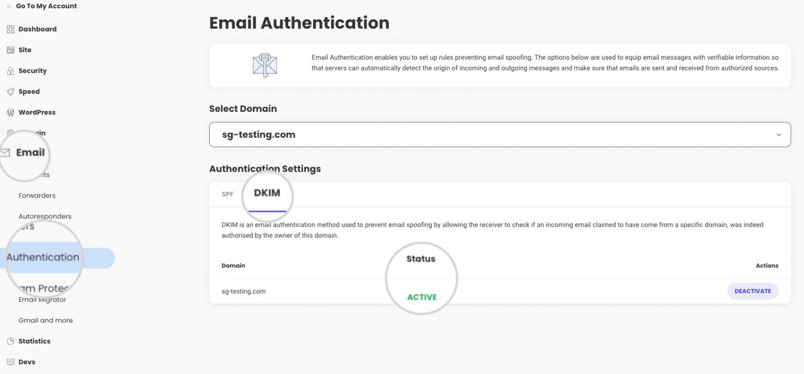 Screenshot from Site Tools in "Email" section, tab "Authentication" for the status check of the record