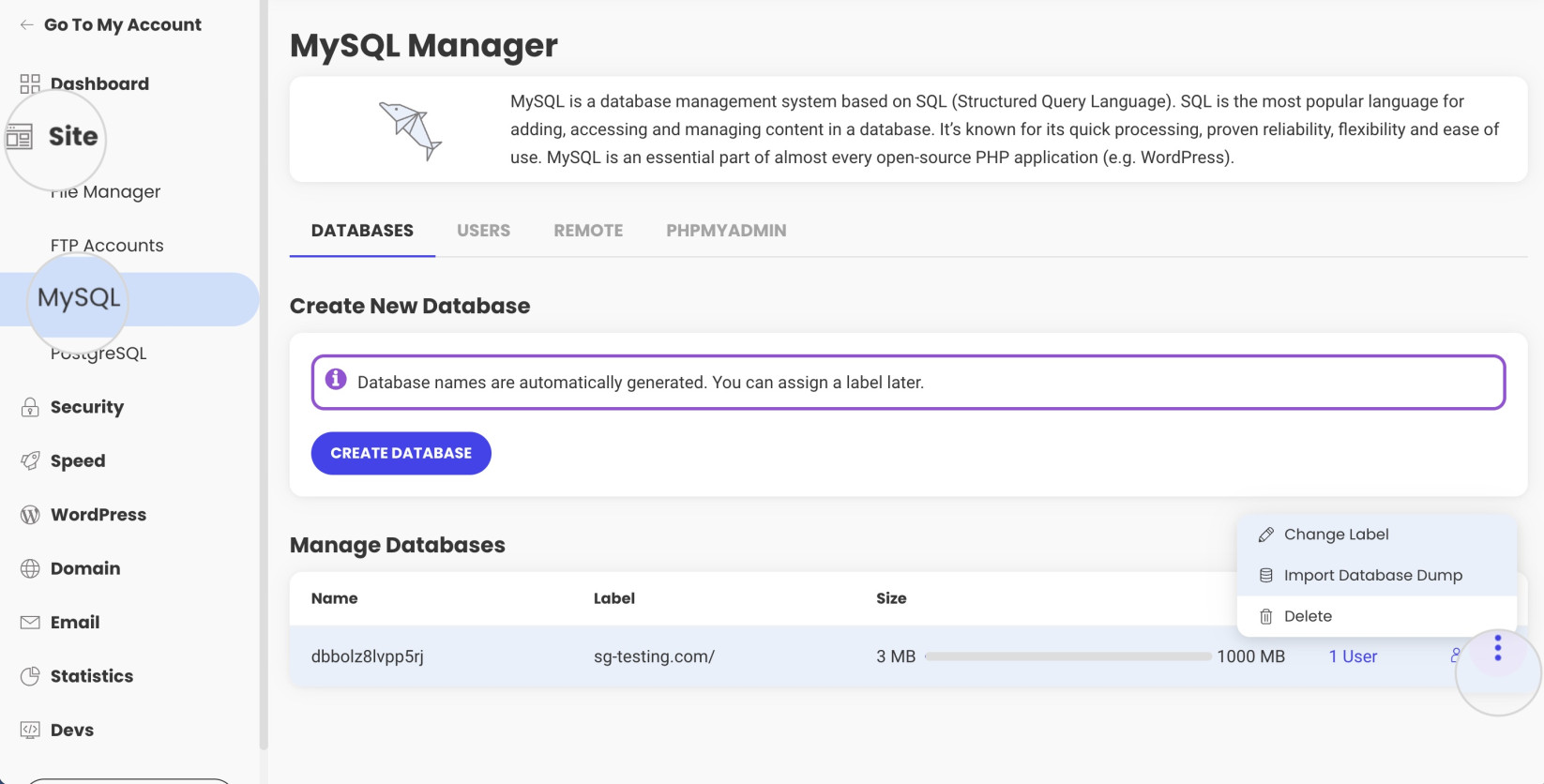 Use "Import Database Dump" in Site Tools to import large databases