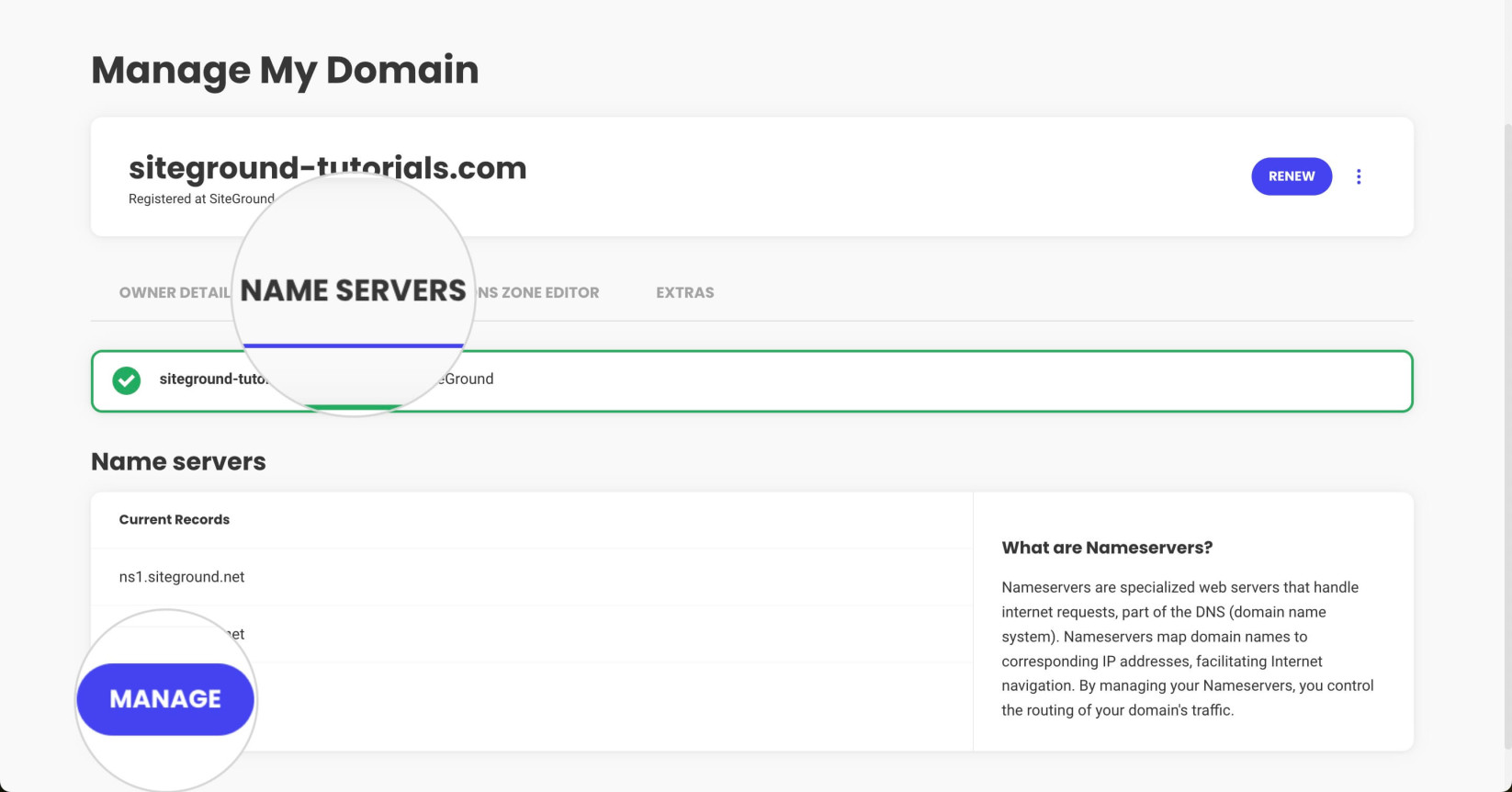 Name Servers section in the domain settings in SiteGround Client Area