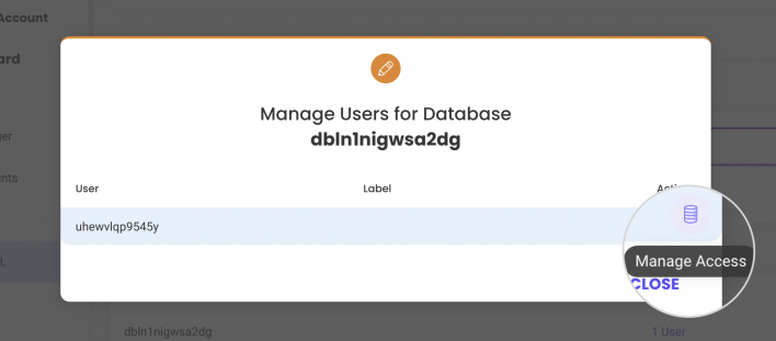 Manage user privileges Postgre SQL