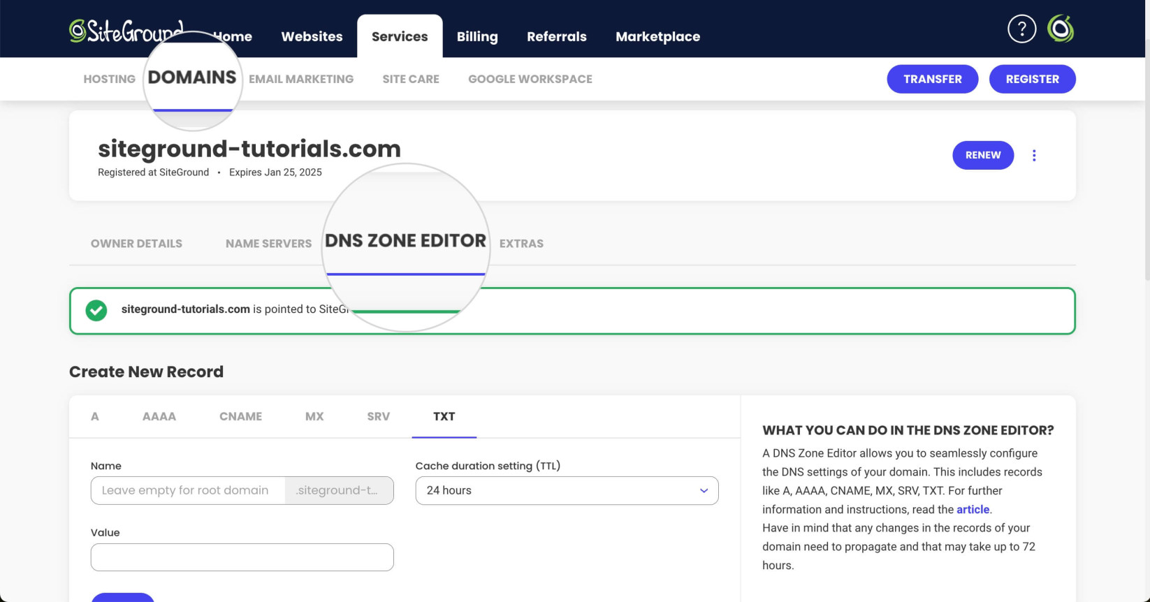 DNS Zone Editor in SiteGround's Client Area