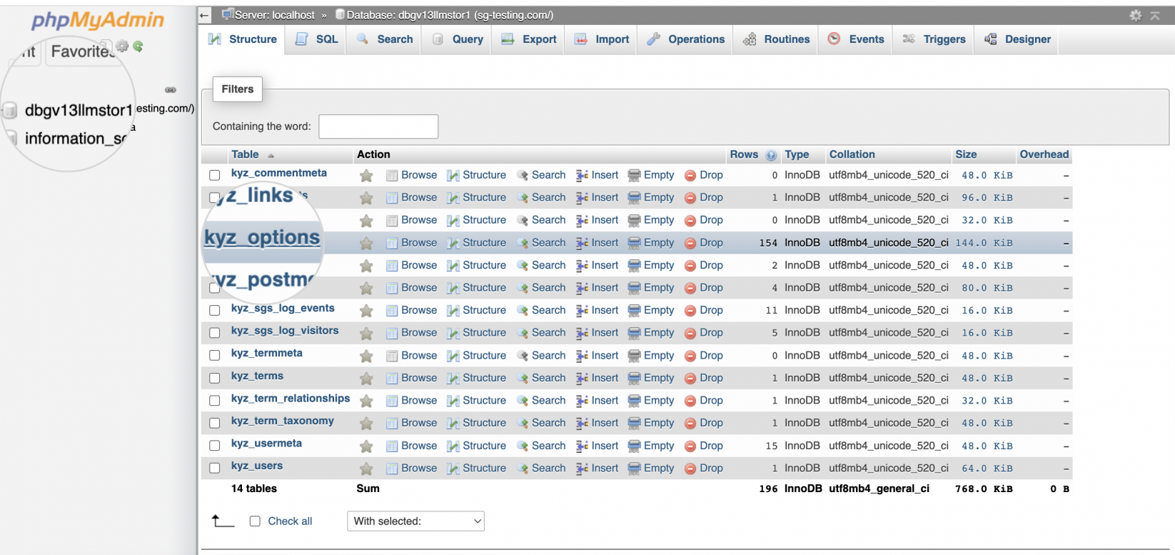 Open the table wp_options 