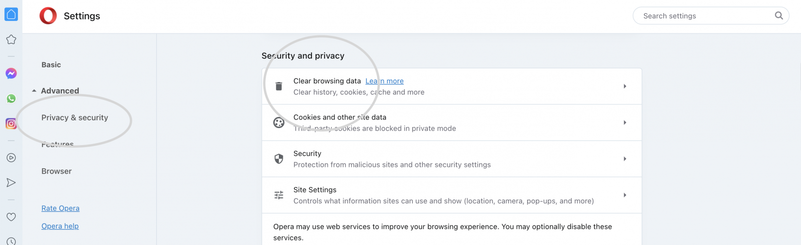 Privacy and Security page in Opera