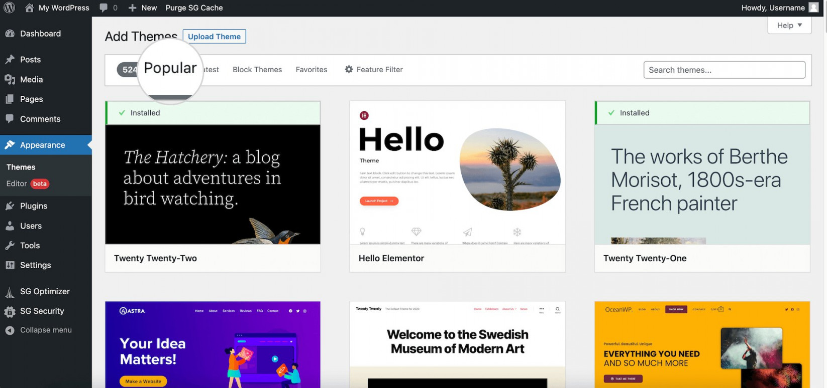 Popular themes WordPress