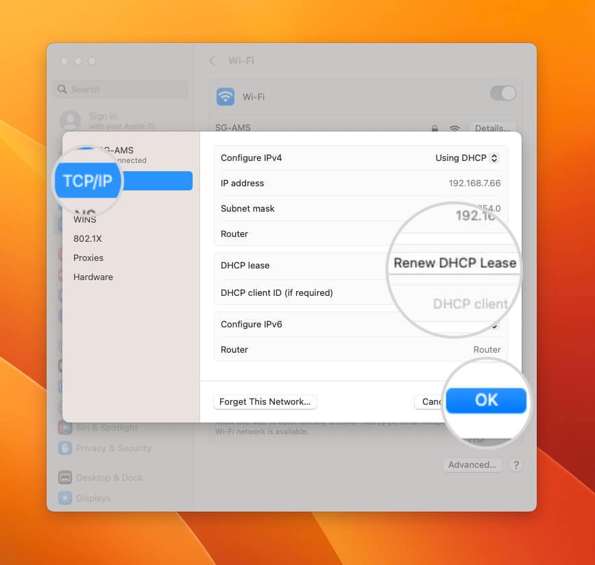 "Renew DHCP Lease" button in TCP/IP settings on Mac