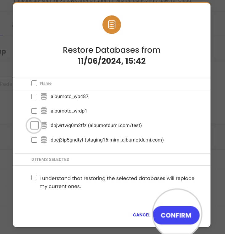 How to restore specific databases in Site Tools