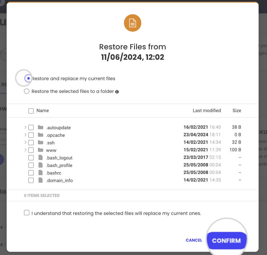 How to restore specific files in Site Tools