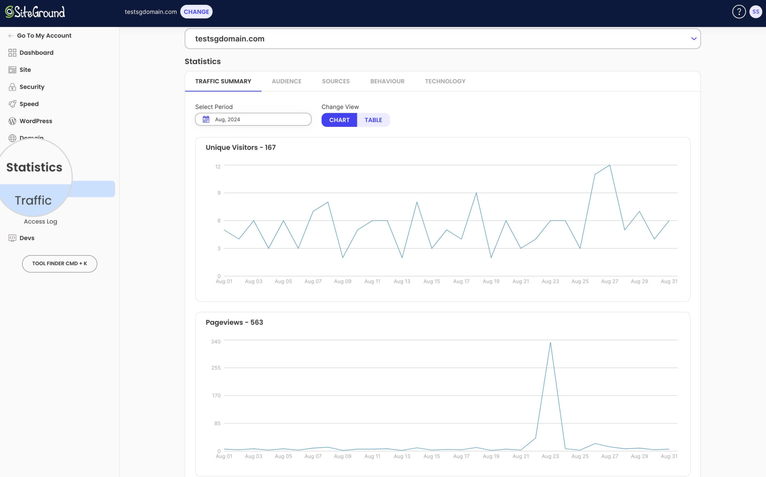 A screenshot of the visitor stats from the Trafic monitoring tool in Site Tools