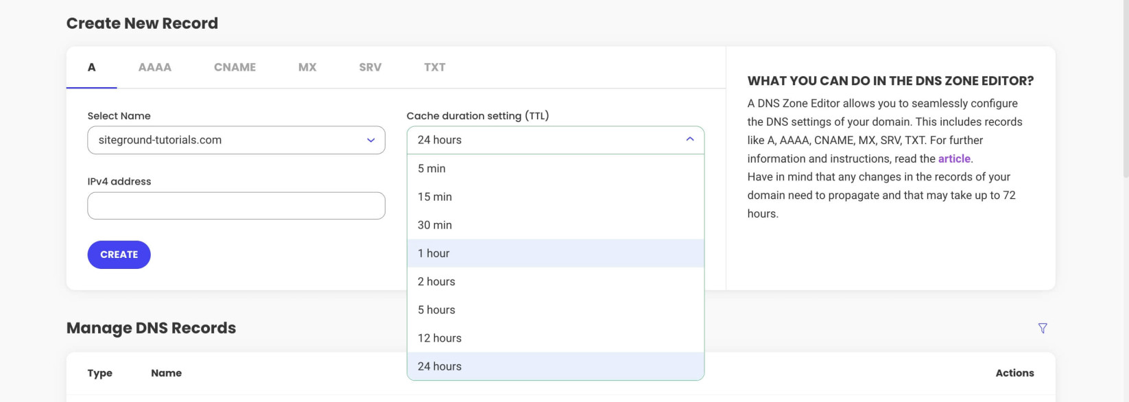 Cache duration setting (TTL) for a DNS record in the DNS Zone Editor