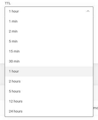 TTL (time to live) settings for a DNS record