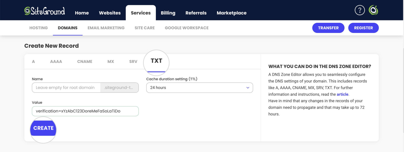 TXT record settings in SiteGround's DNS Zone Editor