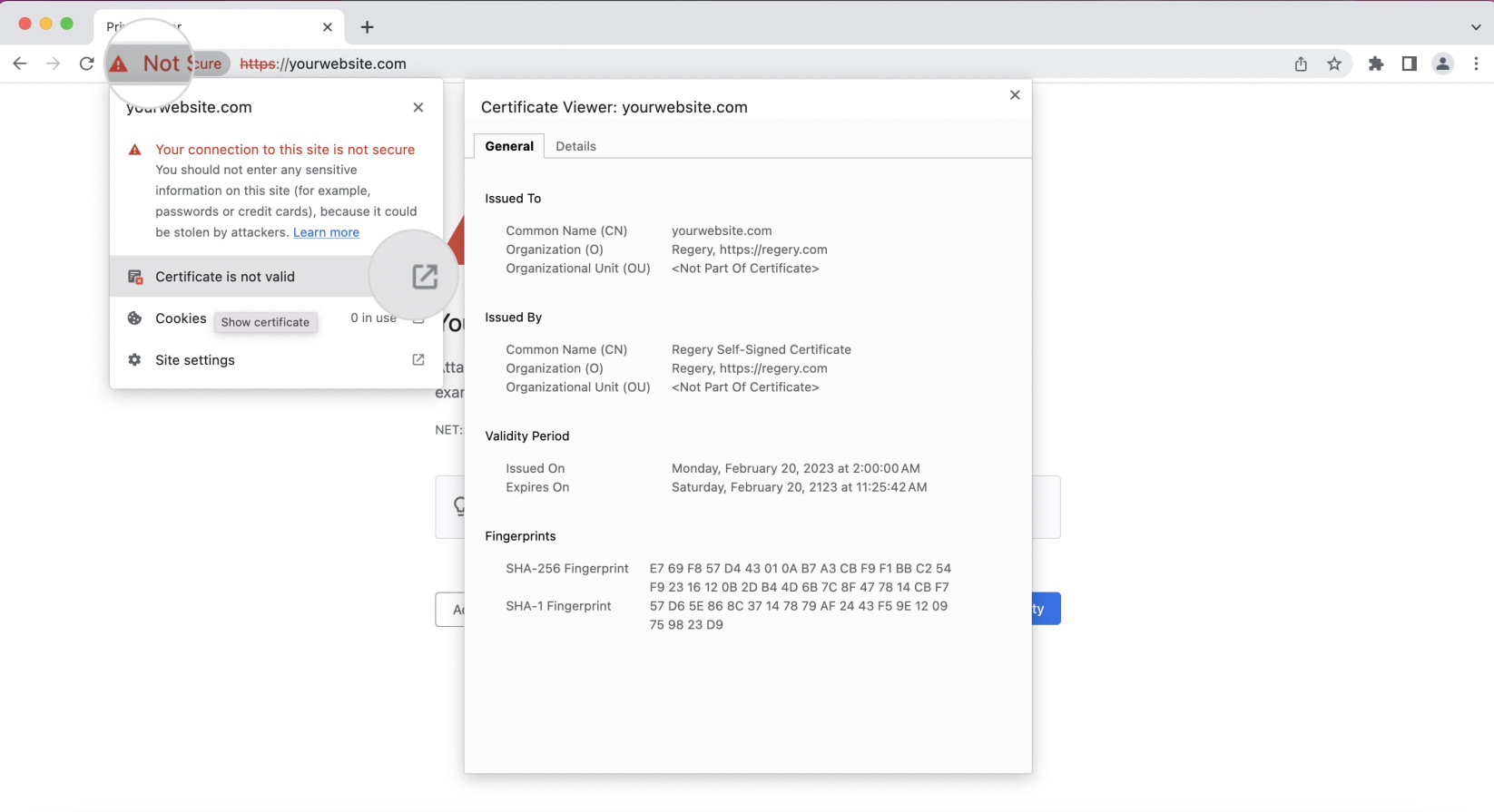 View the certificate details when Chrome shows "Your connection is not private"